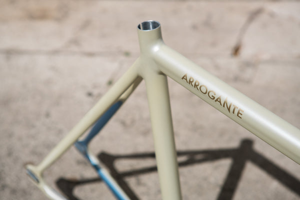ARROGANTE - PEARL WHITE