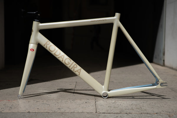 ARROGANTE - PEARL WHITE